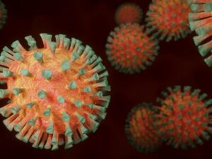 photo of coronavirus