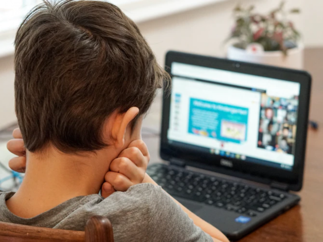 boy looking at computer