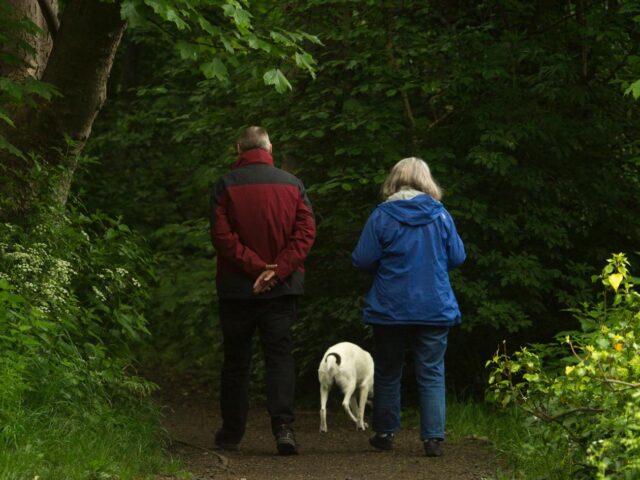 people_walking_in_the_woods