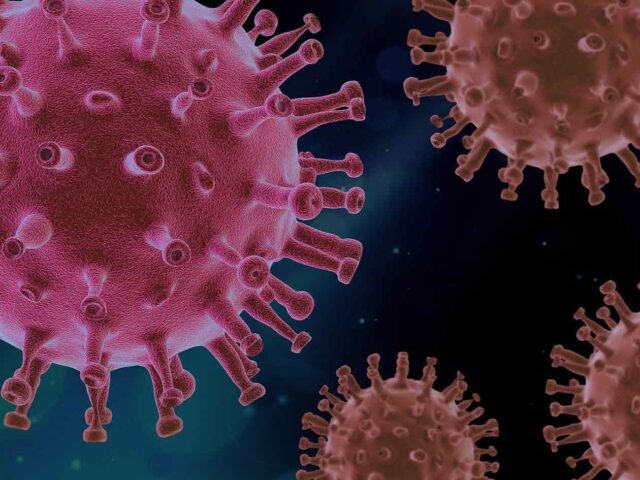 image of covid virus