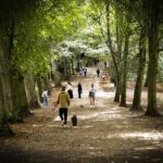 people walking on a path through hampstead heath
