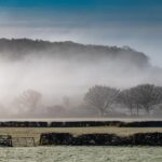 Foggy morning and sunrise