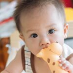 baby looks at camer while chewing on toy giraffe