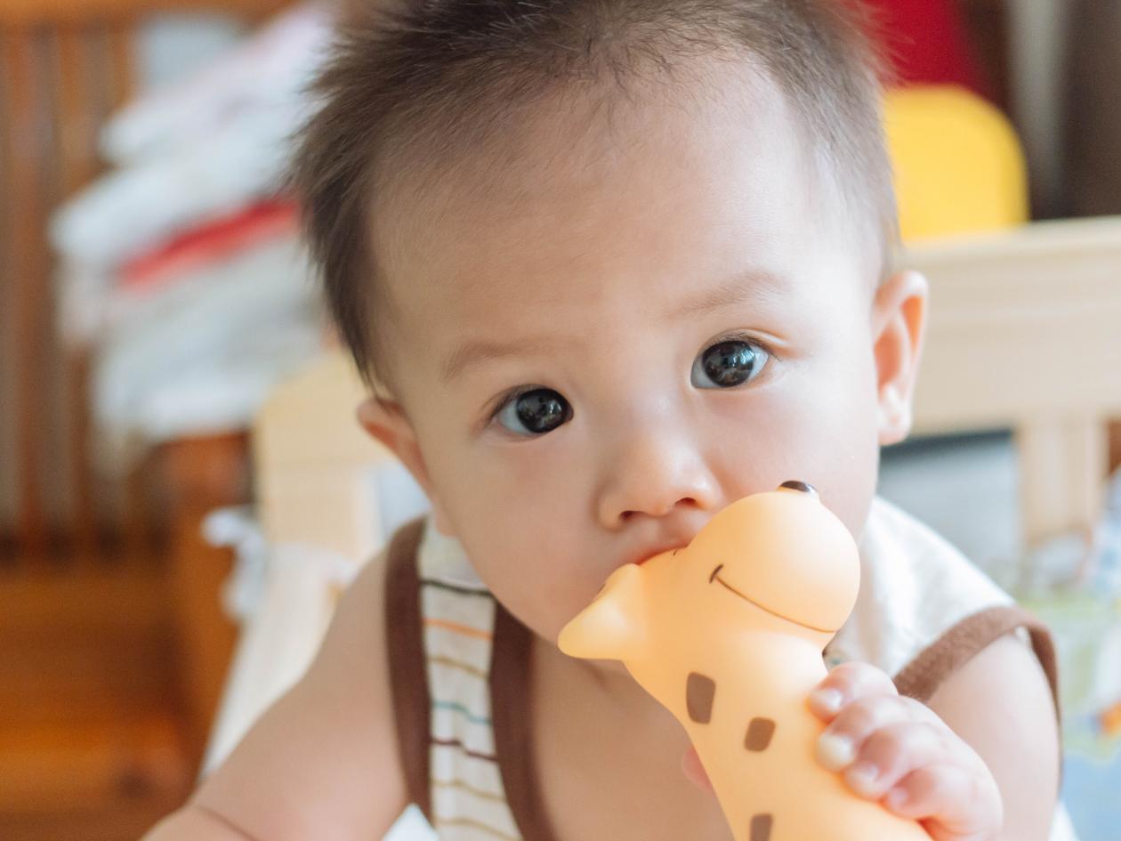 baby looks at camer while chewing on toy giraffe